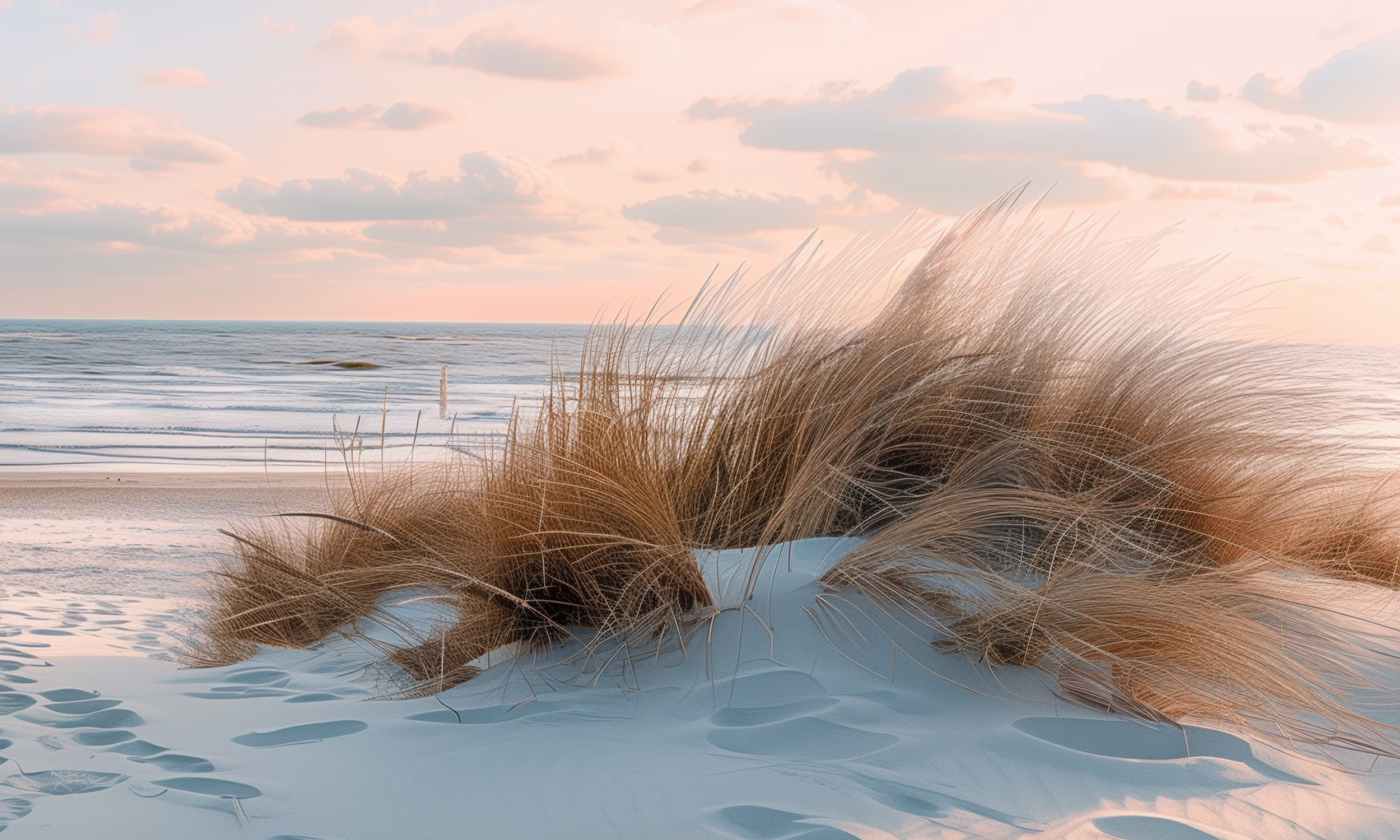 AGB Strandwetter Hotel Borkum